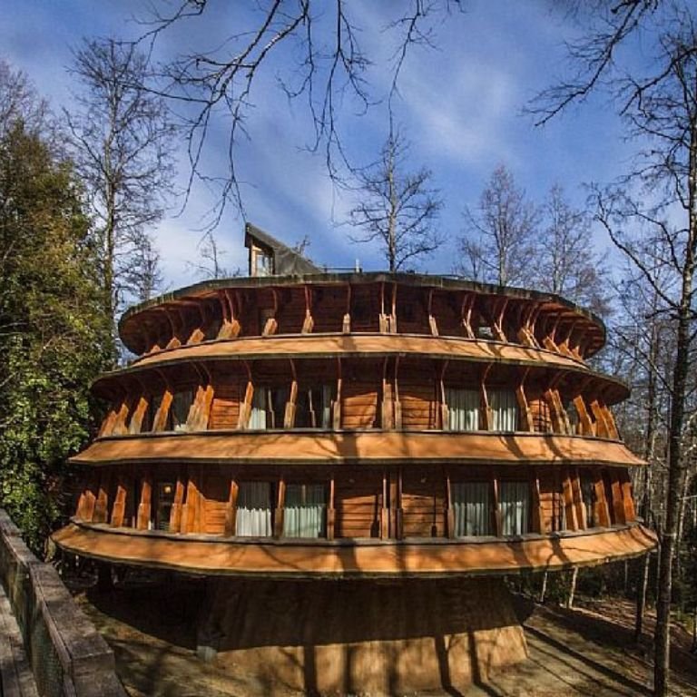 Hotel Reino Funghi